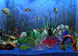 Egzotyczne ryby w akwarium