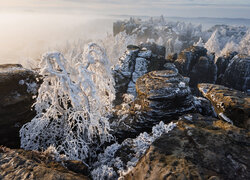 Góry Połabskie, Elbe Sandstone Mountains, Skały, Drzewa, Zima, Czechy