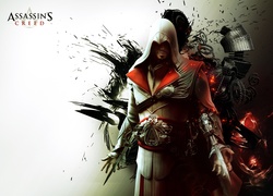 Assassins Creed Brotherhood