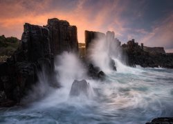 Morze, Fale, Formacja skalna, Bombo Headland Quarry, Skały, Drzewa, Bombo, Kiama, Australia