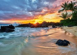 Hawaje, Morze, Fale, Palmy, Plaża, Wschód słońca
