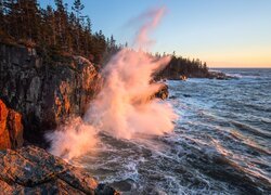 Morze, Skały, Drzewa, Park Narodowy Acadia, Maine, Stany Zjednoczone