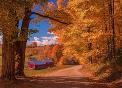 Wieś Reading, Farma Jenne Farm, Stan Vermont, Stany Zjednoczone, Jesień, Drzewa, Droga, Domy, Stodoły