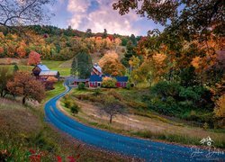 Stany Zjednoczone, Vermont, Pomfret, Domy, Sleepy Hollow Farm, Jesień, Droga, Drzewa