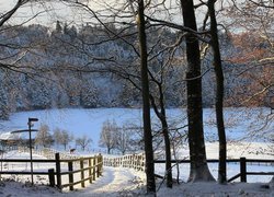 Zima, Drzewa, Droga, Ogrodzenie, Farma, Konie, Śnieg