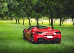 Ferrari 488 Spider Roadster, Trawa, Drzewa