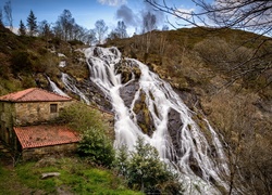 Hiszpania, Toques, Wodospad Fervenza de Brañas, Dom, Drzewa