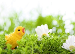 Figurka wielkanocnego kurczaczka między kwiatkami