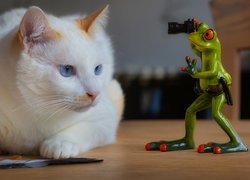 Kot, Piórko, Figurka, Żaba, Aparat fotograficzny