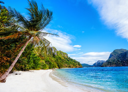 Filipińska plaża z palmami i widokiem na morze