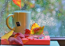 Filiżanka herbaty i książka na jesienne deszczowe dni