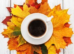 Filiżanka kawy na jesiennych liściach klonu