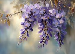 Fioletowe kwiaty glicynii i listki na gałązce