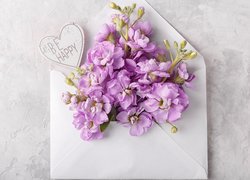 Fioletowe kwiaty i serduszko w białej kopercie