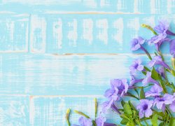 Fioletowe kwiaty na niebieskich deskach