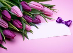 Fioletowe tulipany obok kartki i kokardki