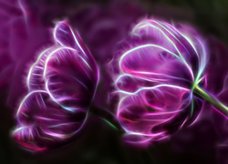 Fioletowe, Tulipany, Fractalius