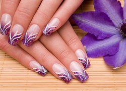 Kobieta, Paznokcie, Manicure, Fioletowy, Kwiat, Powojnik