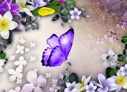 Fioletowy motyl wśród kwiatów plumerii