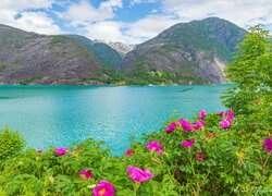 Fiord Akrafjorden w Norwegii