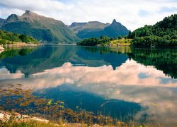 Fiord Eiksund, Góry, Drzewa, Region More og Romsdal, Norwegia