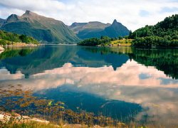 Fiord Eiksund, Góry, Drzewa, Region More og Romsdal, Norwegia