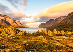 Norwegia, Góry, Fiord, Ersfjorden, Chmury, Pożółkłe, Drzewa, Trawa, Jesień