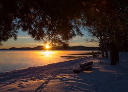Zima, Drzewa, Ławeczka, Zachód słońca, Fiord Topdalsfjorden, Kristiansand, Norwegia