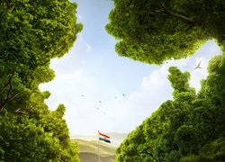 Flaga Indii pomiędzy drzewami