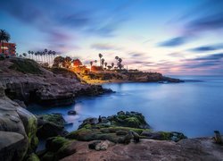 Morze, Niebo, Zachód słońca, Palmy, Skały, Foki, Zatoka, La Jolla Cove, San Diego, Kalifornia, Stany Zjednoczone