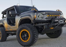 Ford Bronco Badlands Sasquatch