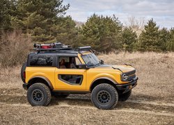 Ford Bronco na drodze leśnej