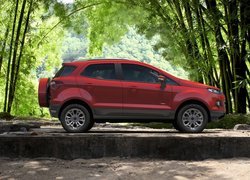 Ford EcoSport w lesie