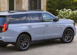 Ford Expedition, Bok, Tył