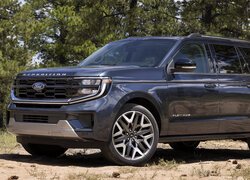 Ford Expedition, Platinum