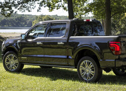 Ford F-150 Platinum