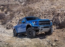 Ford F 150 Raptor, Seria XIII