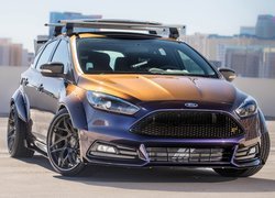 Ford Focus ST Mk3, Blood Type Racing, 2017