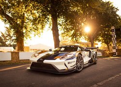 Ford GT40 Mark II, Rajdowy