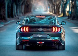 Ford Mustang Bullitt, Droga, Drzewa