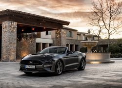 Ford Mustang GT, Cabrio, 2018, Dom