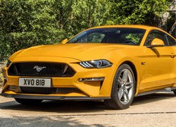 Żółty, Ford Mustang GT, 2018