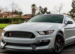 Ford Mustang GT350R 2018