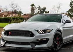 Ford Mustang GT350R, 2018