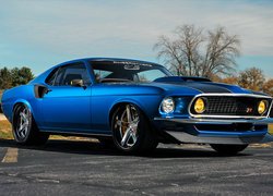 Ford Mustang Mach 1 Patriarc Ringbrothers