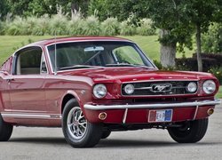 Ford Mustang rocznik 1966