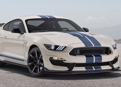 Ford Mustang Shelby GT350 Heritage Edition, 2020