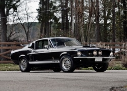 Zabytkowy, Ford Mustang Shelby GT350, 1967