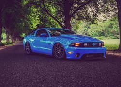 Ford Mustang Shelby GT700