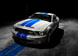 Ford mustang shelby